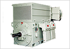 High Voltage Motors